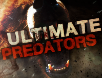 ULTIMATE PREDATORS